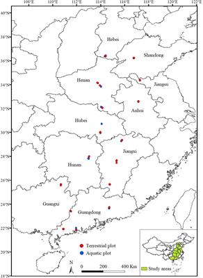 Latitudinal trends in the structure, similarity and beta diversity of plant communities invaded by Alternanthera philoxeroides in heterogeneous habitats